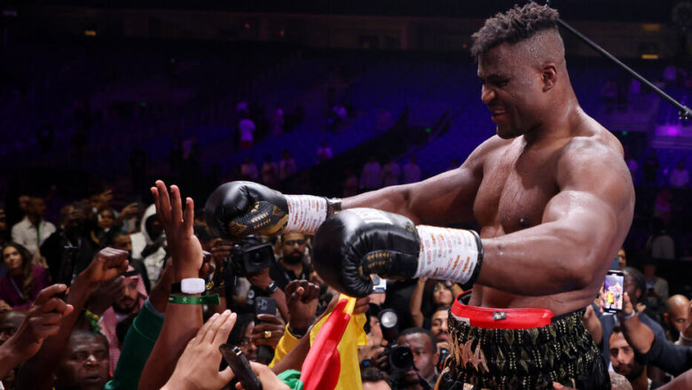 Boxe poids lourds : nouvelle distinction pour Francis Ngannou